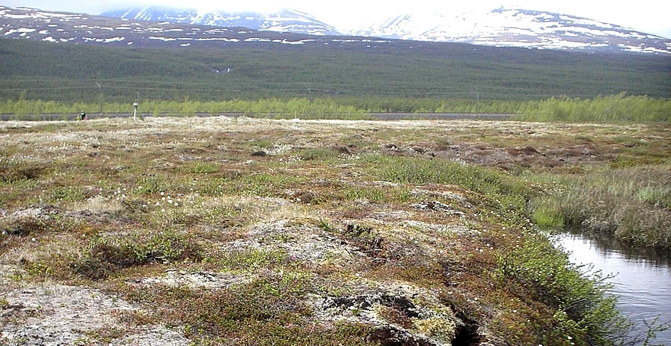 Unele regiuni de la Polul Nord nu mai îngheaţă nici în perioada iernii. Topirea permafrostului poate elibera cantităţi uriaşe de dioxid de carbon în atmosferă