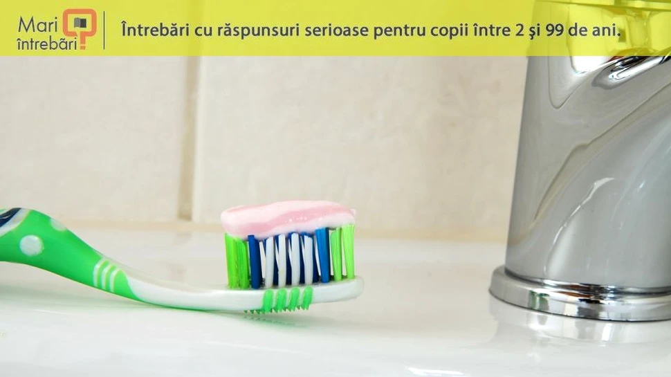 Cât de des trebuie să-ţi schimbi periuţa de dinţi?