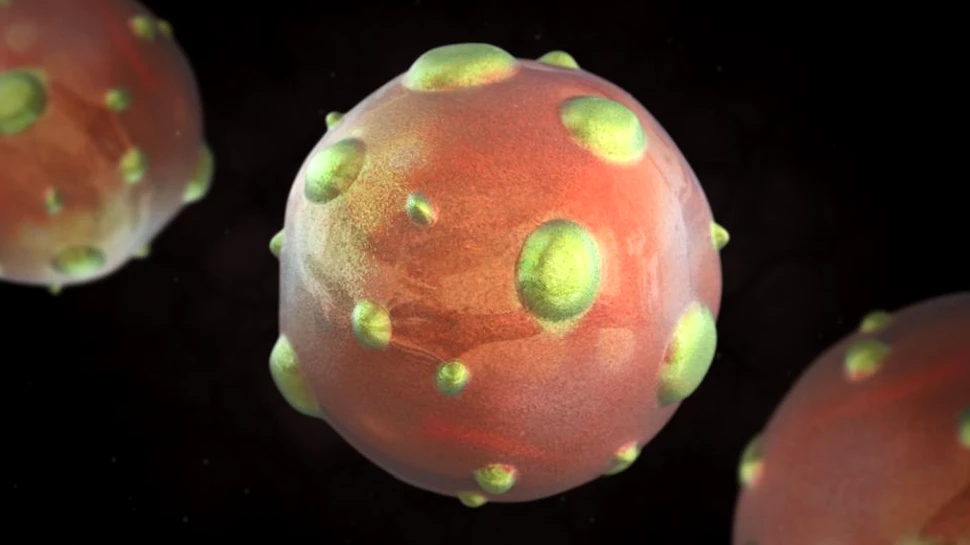 Hantavirus, un virus mai fatal decât COVID-19. Panică în China după moartea unui bărbat