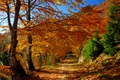 Prognoza meteo pentru următoarele săptămâni. Ce temperaturi sunt așteptate?