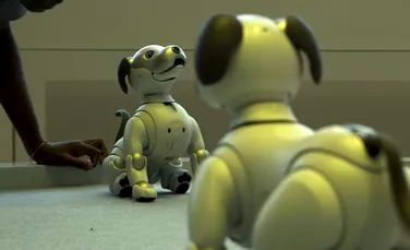 VIDEO Sony a scos câinele robot Aibo: este adorabil, dar preţul acestuia nu este pentru toate buzunarele