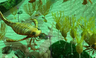 Un nou studiu asupra unor fosile vechi de 550 de milioane de ani relevă detalii FASCINANTE care pot rescrie istorie evoluţiei vieţii