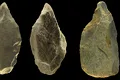 Un număr record de unelte din os, din urmă cu 400.000 de ani, contestă ceea ce credeam că știm despre oamenii timpurii