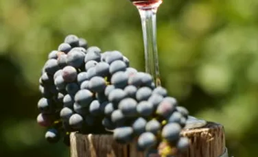 Vinul rosu, fructele si legumele, medicamente impotriva cancerului.