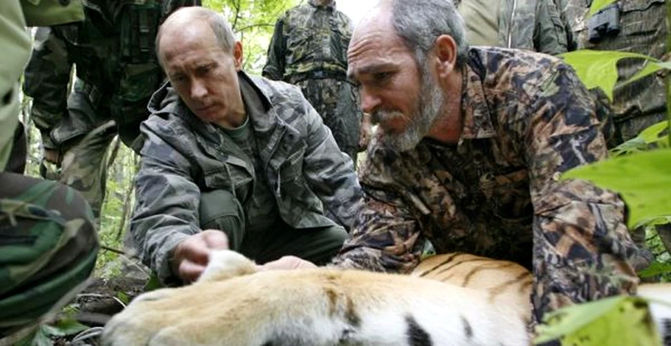 Putin lanseaza cruciada tigrilor