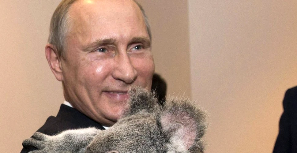 Moscova speră că ursul koala ţinut în braţe de Putin nu se află printre cei eutanasiaţi în Australia