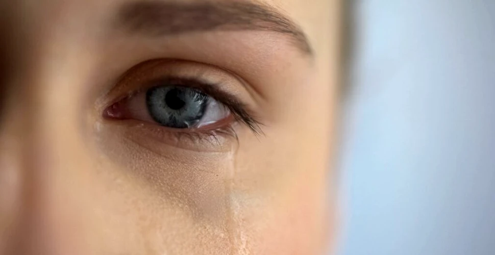 Ciudat, dar adevărat! Lacrimile femeilor pot reduce agresivitatea bărbaților