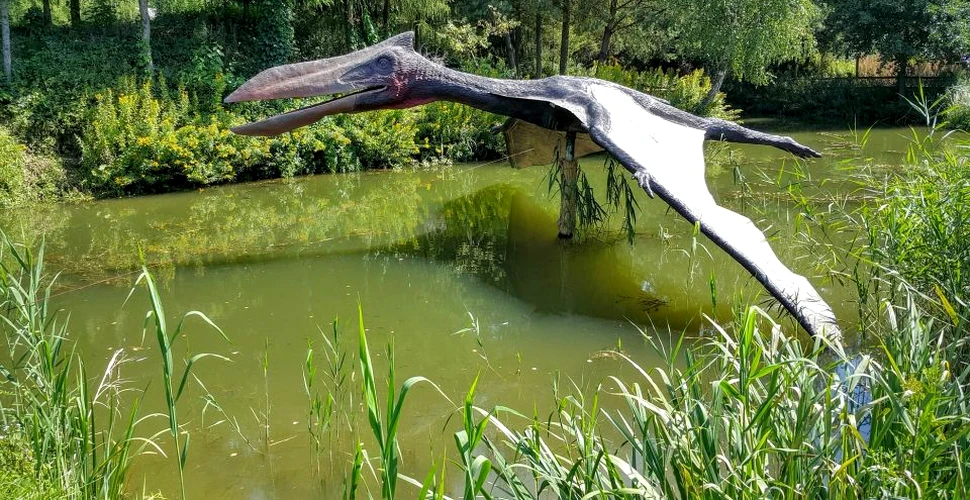 ”Dragonul de fier”, pterozaurul care vâna peştii din râurile şi lacurile din Cretacic