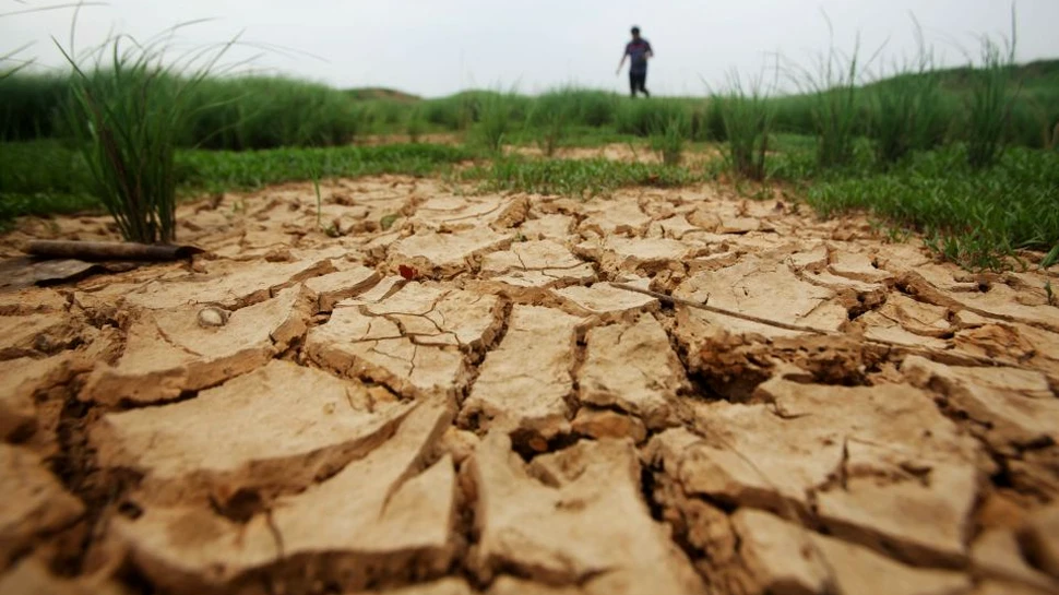 Europa a epuizat resursele planetei. De astăzi, consumăm resurse naturale care aparţin generaţiilor viitoare
