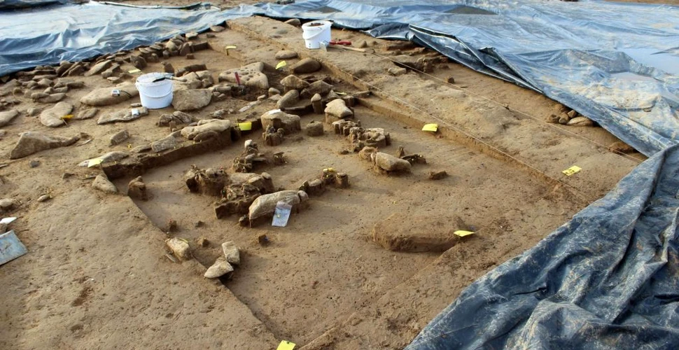 Noi dovezi ale vieții preistorice au fost descoperite în nord-estul Franței