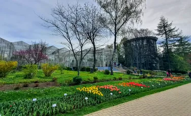 Prima grădină botanică din România