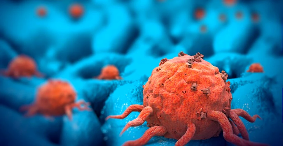 Virusuri vechi de un milion de ani ajută la combaterea cancerului