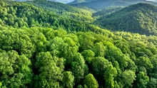 Vacanța perfectă de toamnă: iată cele mai bune trasee de mers pe munte!