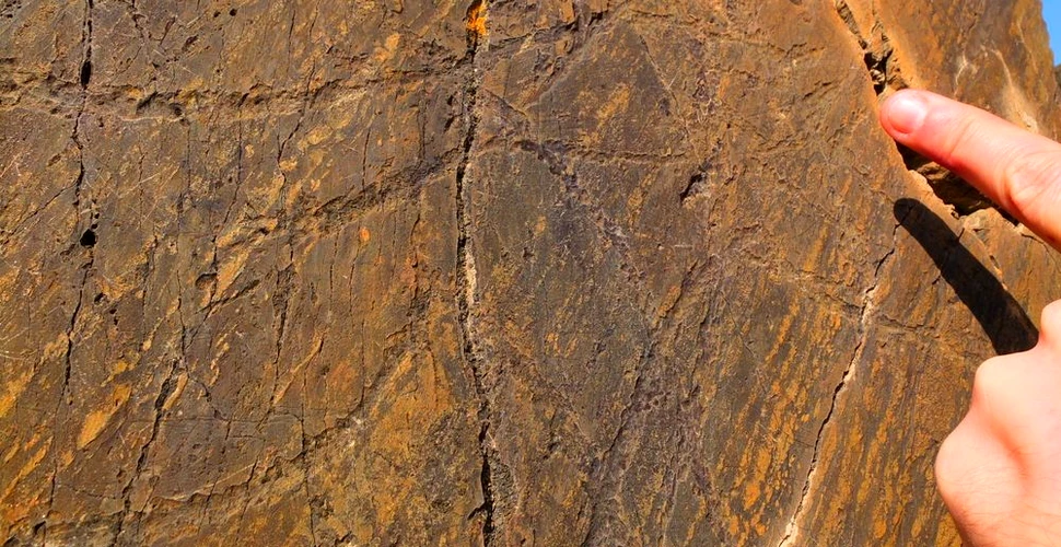 Pedeapsa pe care o riscă doi ciclişti care au scrijelit inscripţii peste gravuri rupestre vechi de peste 22.000 de ani