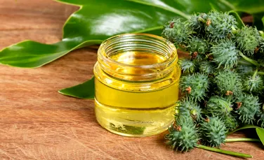 Uleiul de ricin: ce beneficii sunt cu adevărat susținute de știință?