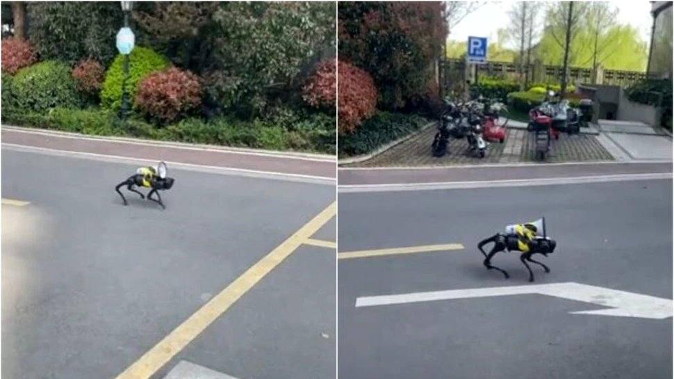 Un câine robot luptă cu pandemia. Cum le cere China cetățenilor să rămână în case?