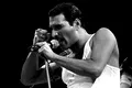 Freddie Mercury, unul dintre cei care au schimbat cursul muzicii. „Sunt homosexual la fel ca o narcisă, dragă”