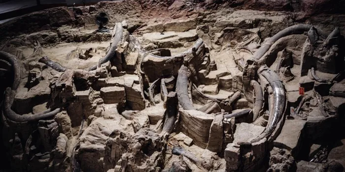 Descoperire „senzațională” într-unul dintre cele mai faimoase situri paleolitice din lume