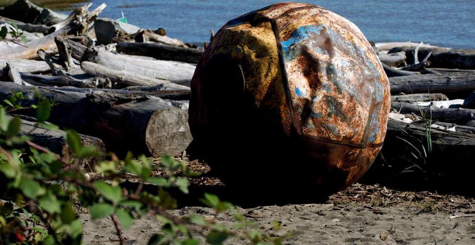 Ce ar putea fi sfera metalică ciudată care a eșuat pe o plajă din Japonia?