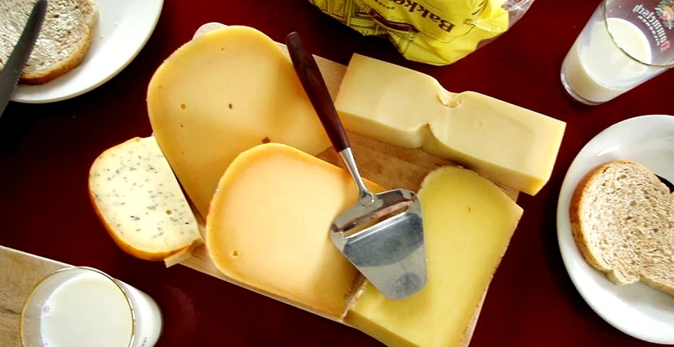 Să mănânci brânză în fiecare zi poate avea efecte foarte bune. Ce cantitate trebuie să consumi