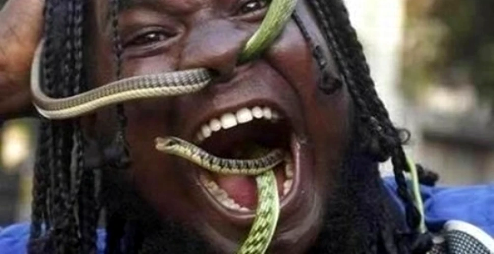 El este cel mai mare consumator de serpi vii din lume (FOTO)