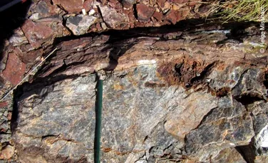 „Ingredientele vieții” au fost descoperite în formațiuni stâncoase din Australia, vechi de 3,5 miliarde de ani