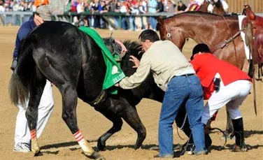 Fracturile sunt fatale pentru caii de curse