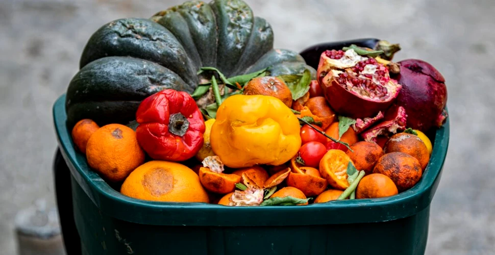 De la reciclare la redistribuire: cum poate fi redus excesul de ambalaje și risipa alimentară