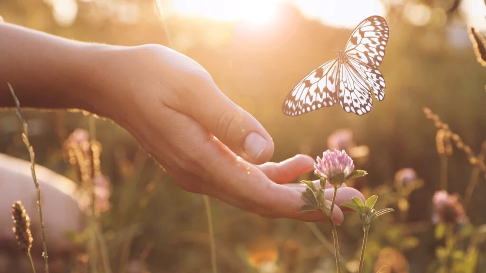 Puterea speranței: de ce speranța este esențială pentru sănătatea mintală