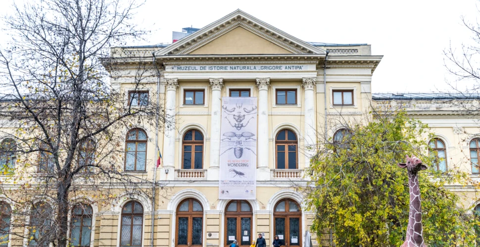 Noaptea Muzeelor nu va avea loc anul acesta