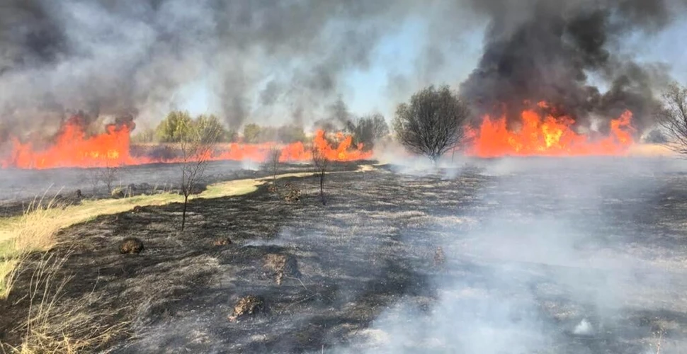 Incendiul din Delta Văcărești, stins după mai bine de două ore. Ce suprafață a ars?
