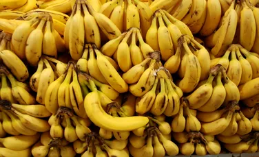 Bananele sunt pe cale de dispariţie. ”Se răspândeşte cu repeziciune şi le usucă”
