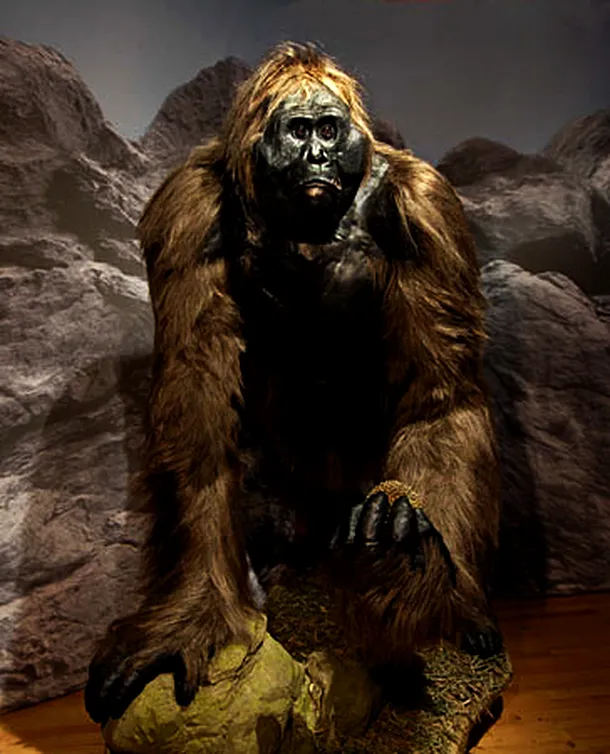 Gigantopitecul era cea mai mare maimuţă antropoidă