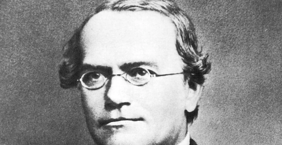 Corpul lui Gregor Mendel, părintele geneticii, a fost dezgropat pentru analize ADN