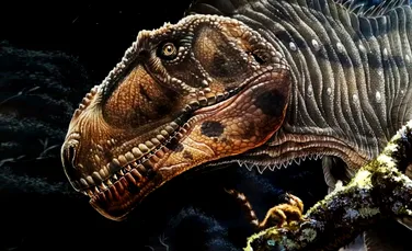 De ce avea T. Rex brațe mici? Descoperirea unui nou dinozaur gigantic ar putea desluși misterul