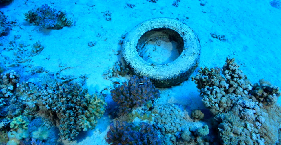 Cum a ajuns fundul oceanului o groapă de gunoi pentru plastic, arme chimice și biberoane?