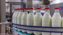 Deși producem peste 4 milioane de tone de lapte anual, doar o treime ajunge în procesare