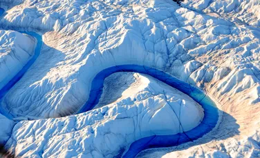 Adevărata amenințare a schimbărilor climatice, descoperită în fosile din Groenlanda
