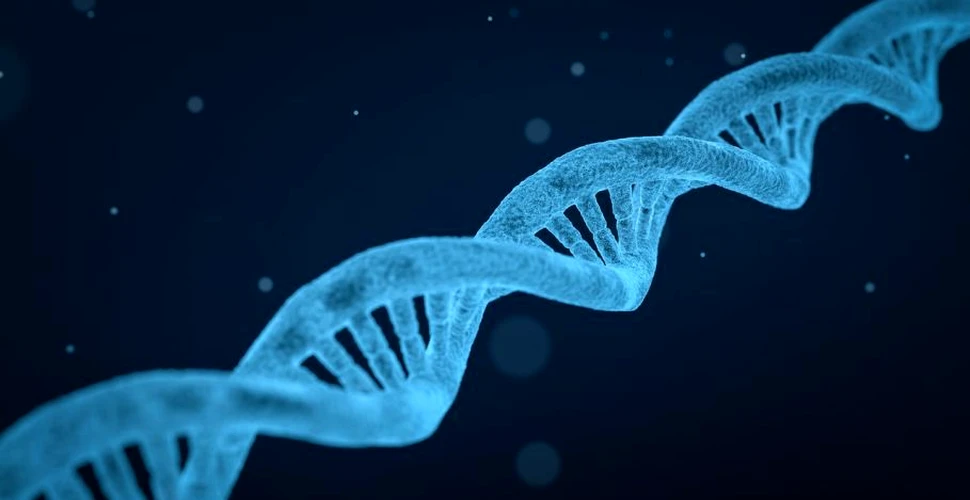 Cercetătorii au descoperit o proteină care reduce eficienţa editării genetice