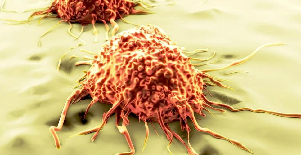 Noi dovezi demonstrează cine e vinovat pentru alimentarea celulelor canceroase