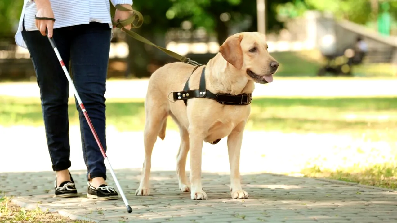 și-a putut recăpăta vederea_shutterstock_descoperă 