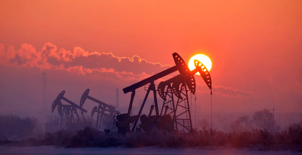Ce este mai rău pentru animalele sălbatice, parcurile eoliene sau forajele petroliere?