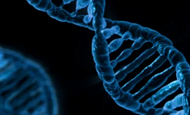 Cele mai comune trăsături umane sunt mutaţii genetice