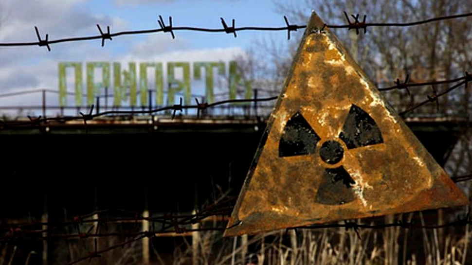 La 31 de ani de la dezastrul nuclear de la Cernobîl, unele animale din Suedia au un nivel al radiaţiilor de 10 ori mai mare decât cel normal