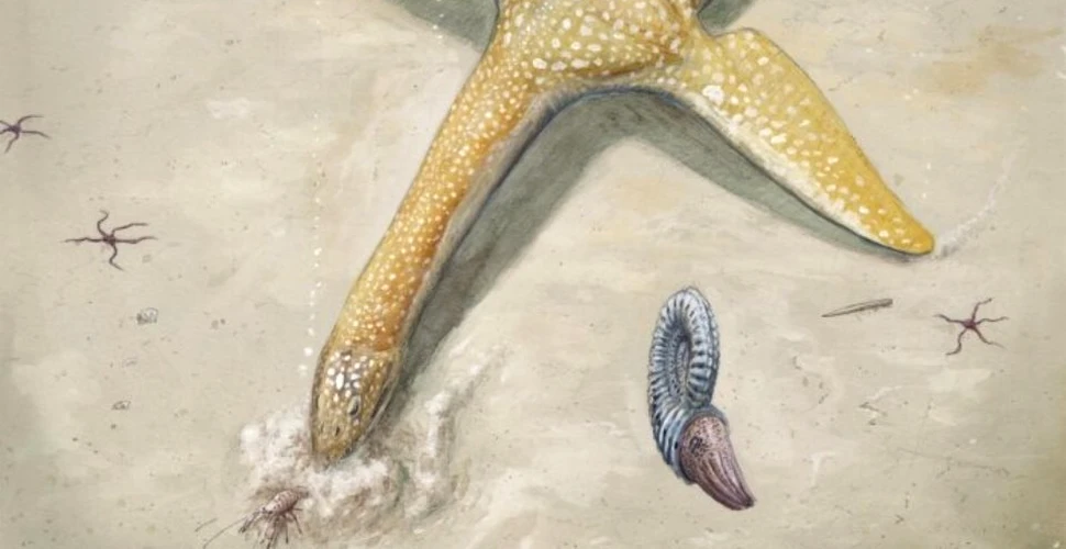 Un monstru jurasic marin recent descoperit ne oferă o imagine mult mai clară a super-prădătorilor din oceanele de acum 200 de milioane de ani