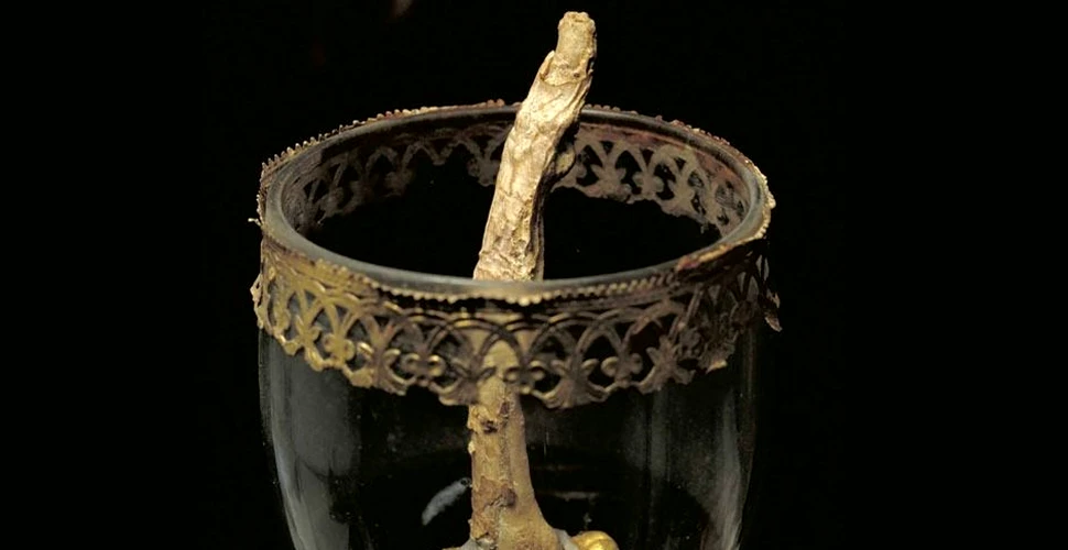 Furat în secolul XVIII, degetul lui Galileo Galilei poate fi admirat în cadrul Museo Galileo