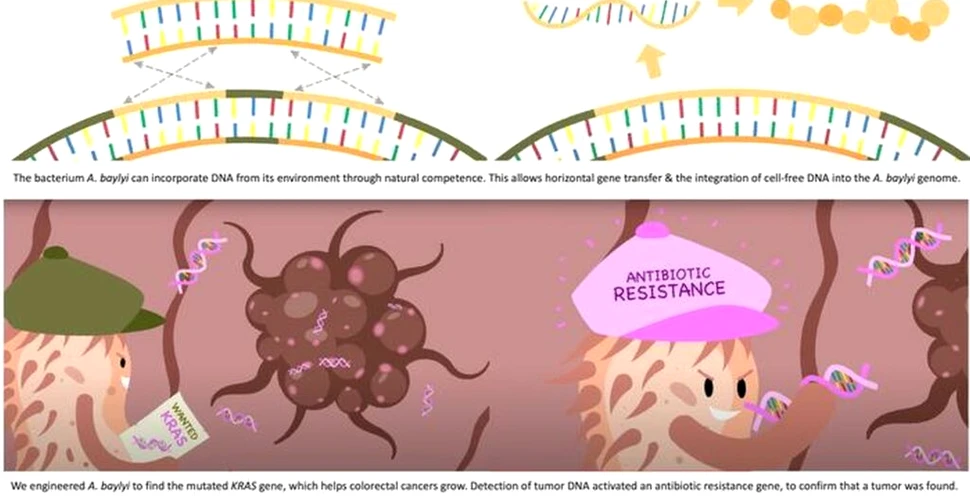 O nouă eră pentru biosenzorii capabili să identifice cancere și alte boli