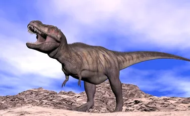 Ce făcea fiorosul T. rex cu „mânuţele” lui? Oamenii de ştiinţă dau enigmei o explicaţie surprinzătoare