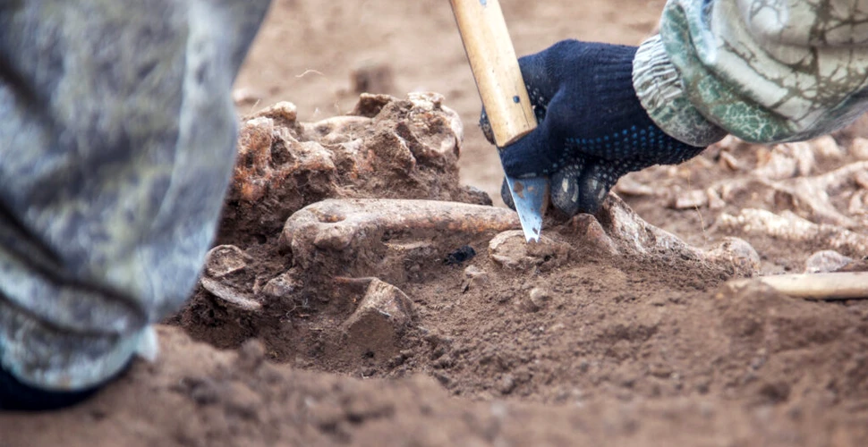 Rămășițe umane și sacrificii de animale, vechi de 2.000 de ani, descoperite în Anglia