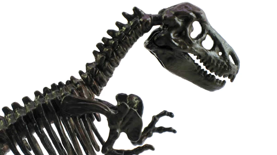 O noua teorie vine sa explice disparitia dinozaurilor